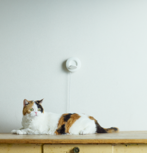 LIXIL looks out for your cat; 100% contactless